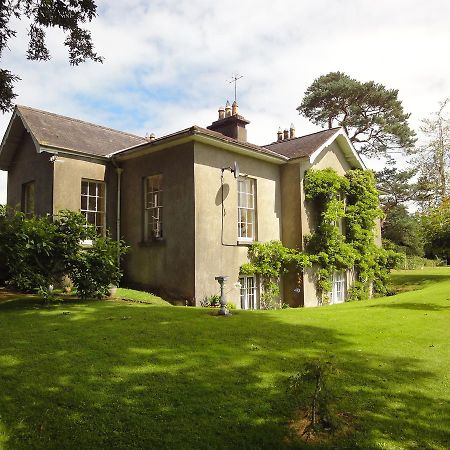 Glendine House Kilkenny Panzió Kültér fotó